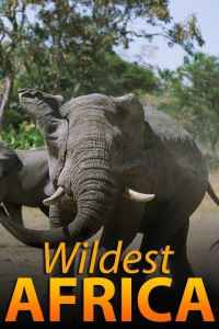 Paslaptingoji Afrika Online