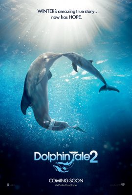 Mano draugas delfinas 2 Online